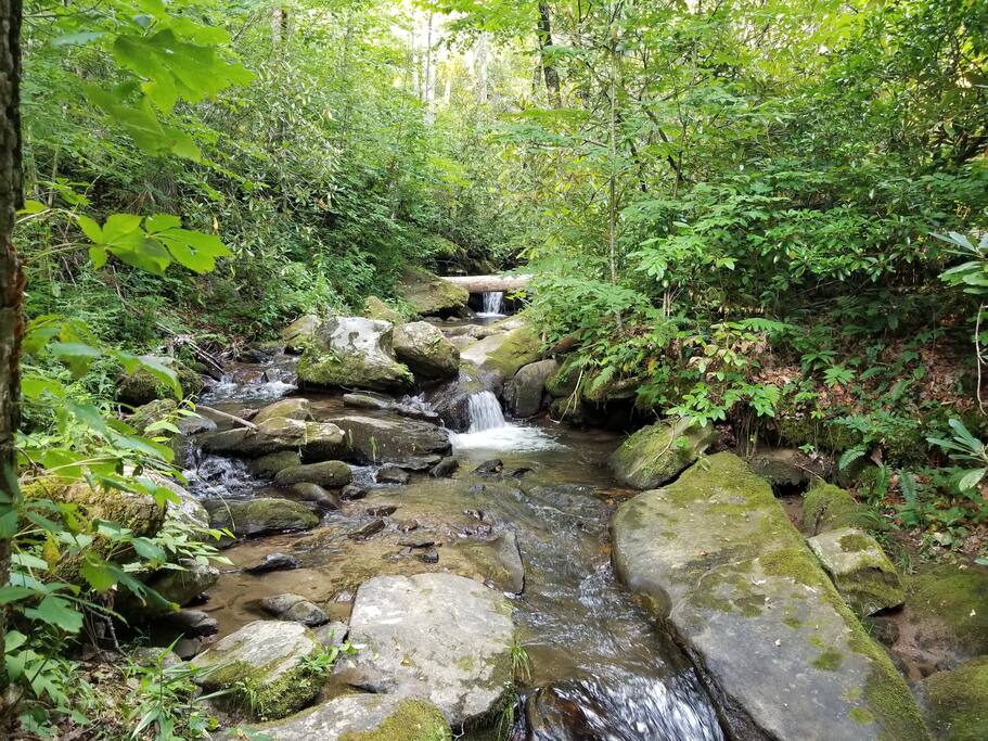 View of creek