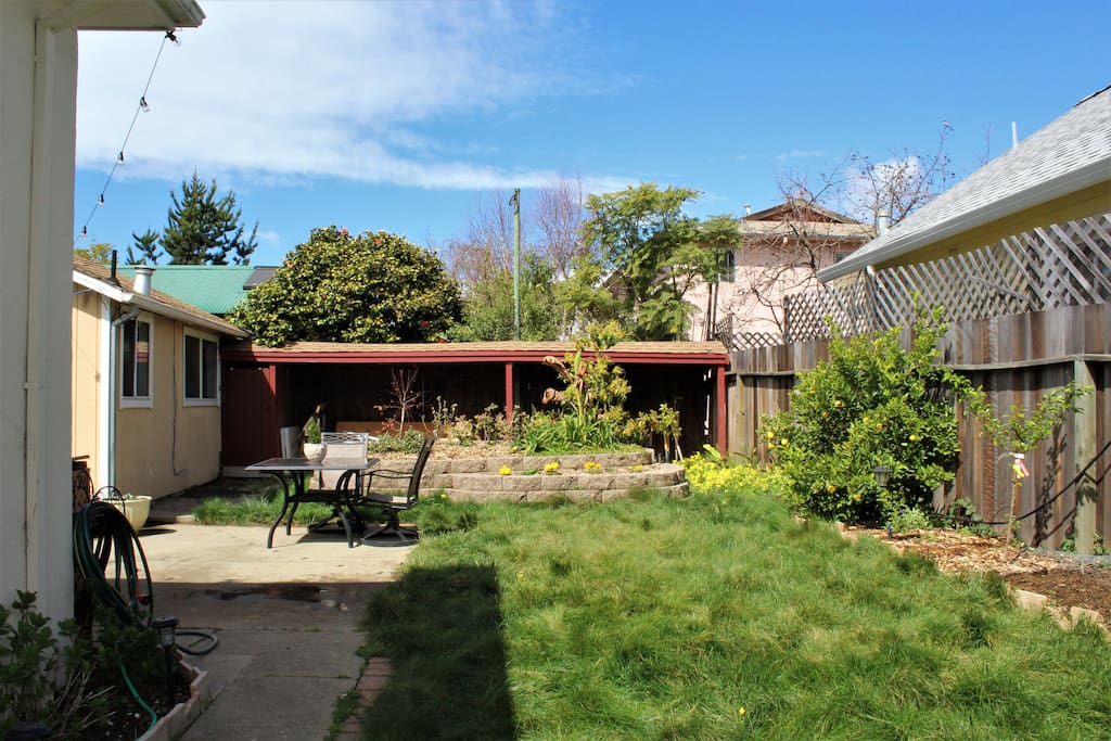 Yard