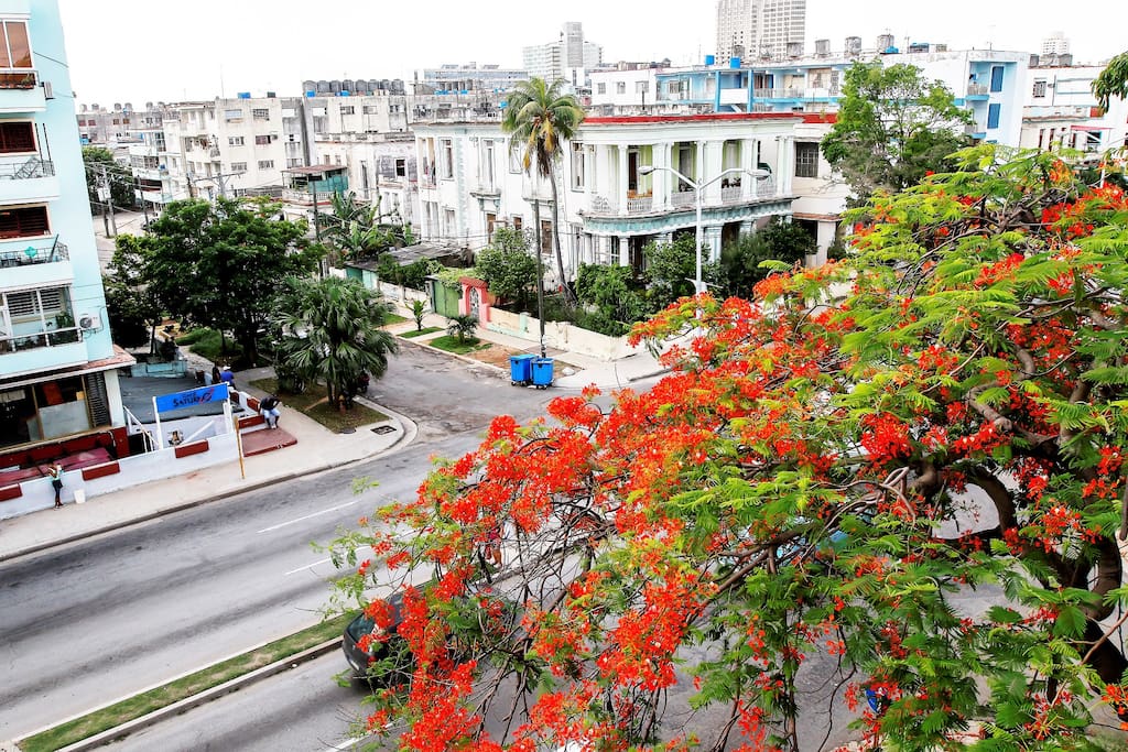 Vista desde la terraza a una de las avenidas más importantes de La Habana.
