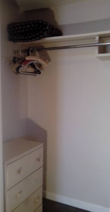 dresser and hanging space in the closet