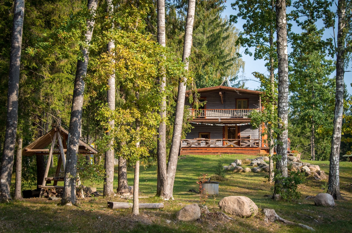 A wooden cabin is nestled among tall trees, with a spacious two-level design visible. A covered porch extends over the first floor, offering outdoor seating. Natural stone and grassy areas surround the cabin, enhancing the serene forest setting.