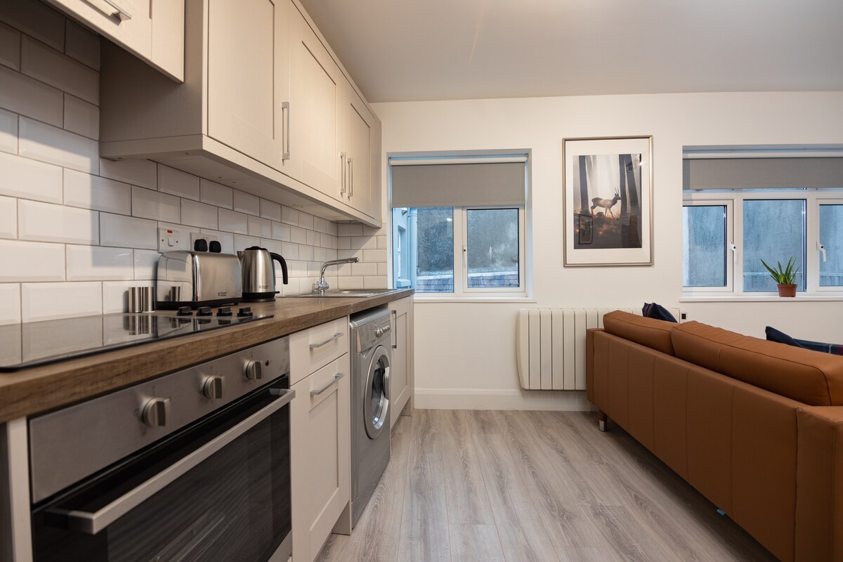 A modern kitchen area is equipped with sleek cabinetry and stainless steel appliances, including a kettle and washing machine. Two windows provide natural light, enhancing the space. A comfortable brown sofa is situated in the corner, accompanied by a potted plant and a framed art piece on the wall.
