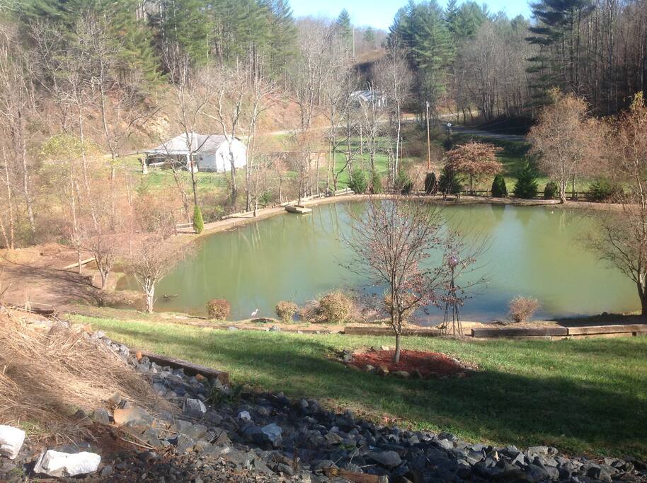Pond