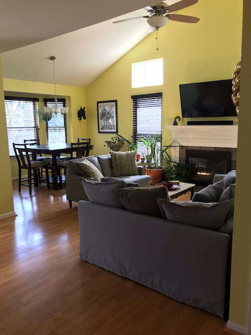 Living/dining room