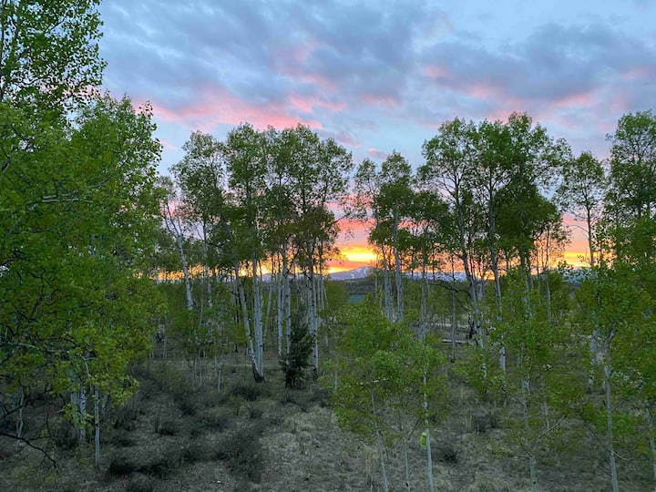 Secluded Starlink Aspen Grove Retreat W/mtn Views - Colorado