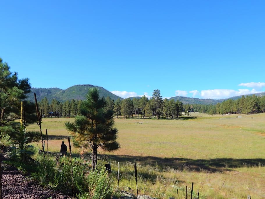 The meadow just at the entrance of the property