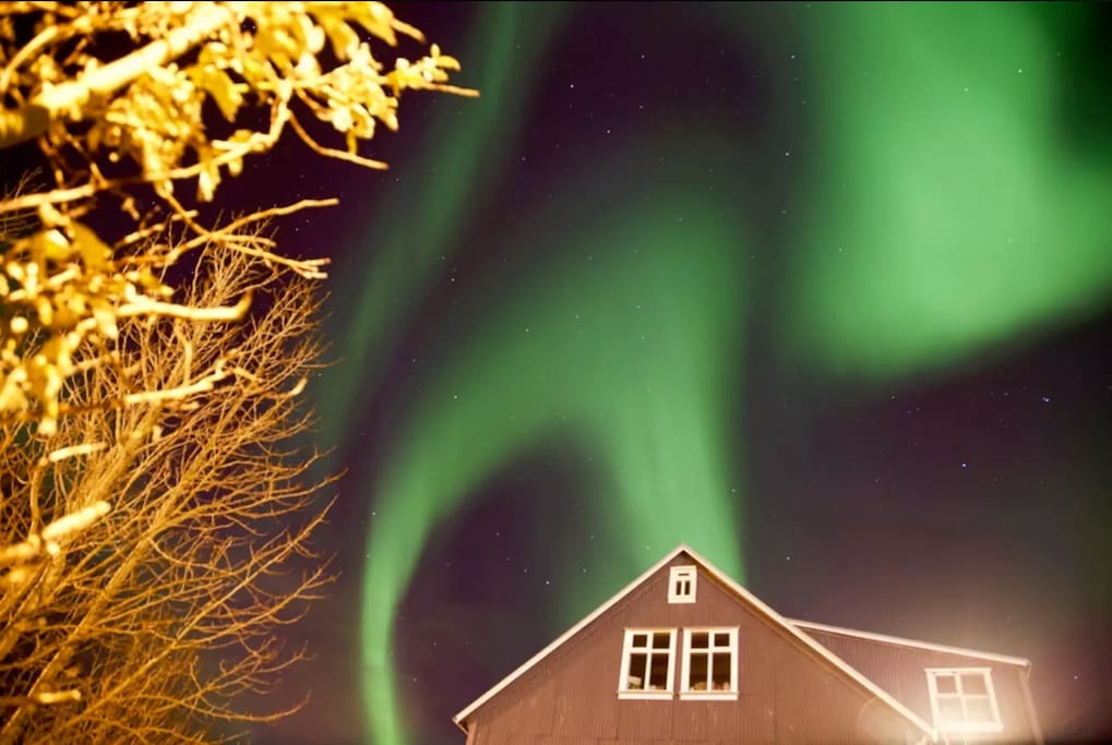 Northern lights during wintertime