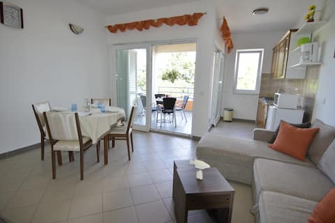 Successful Airbnb property: Apartment Dajla-Novigrad 150 m from the beach in Dajla