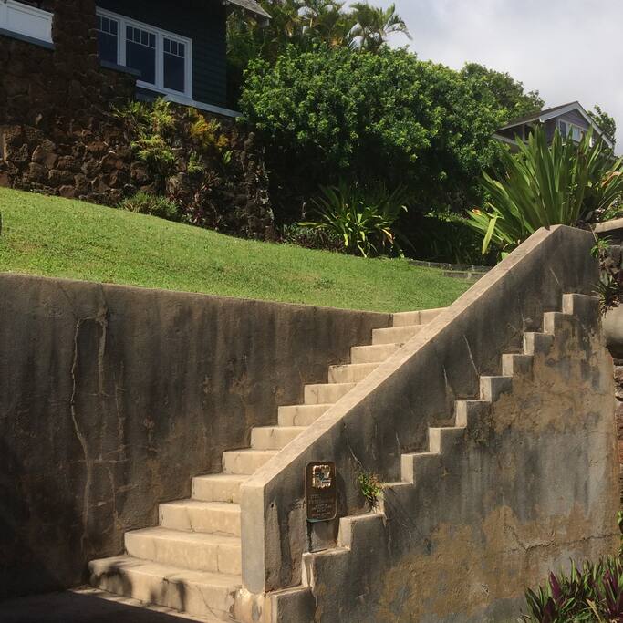 This historic home features an expansive front yard, and beautiful detail in the walk up.