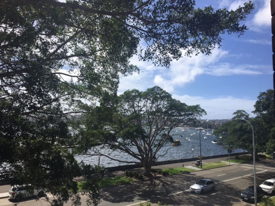 view from balcony