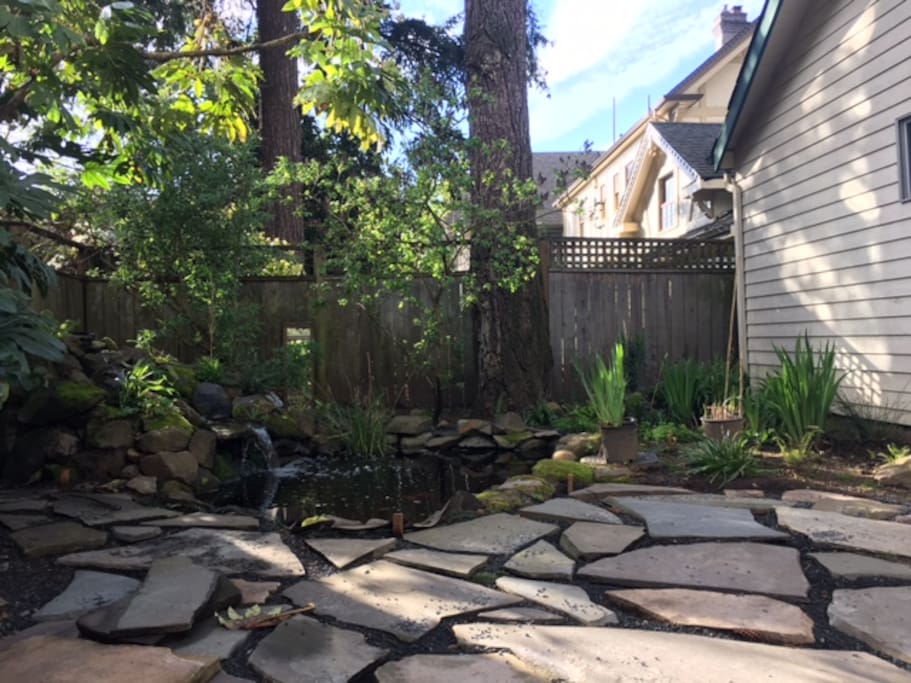 Pond in backyard