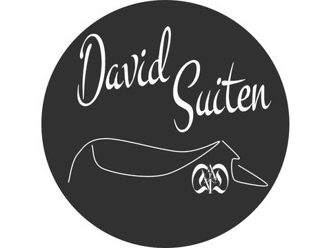 David Suiten - Luxury Apartment, in-house Spa, A