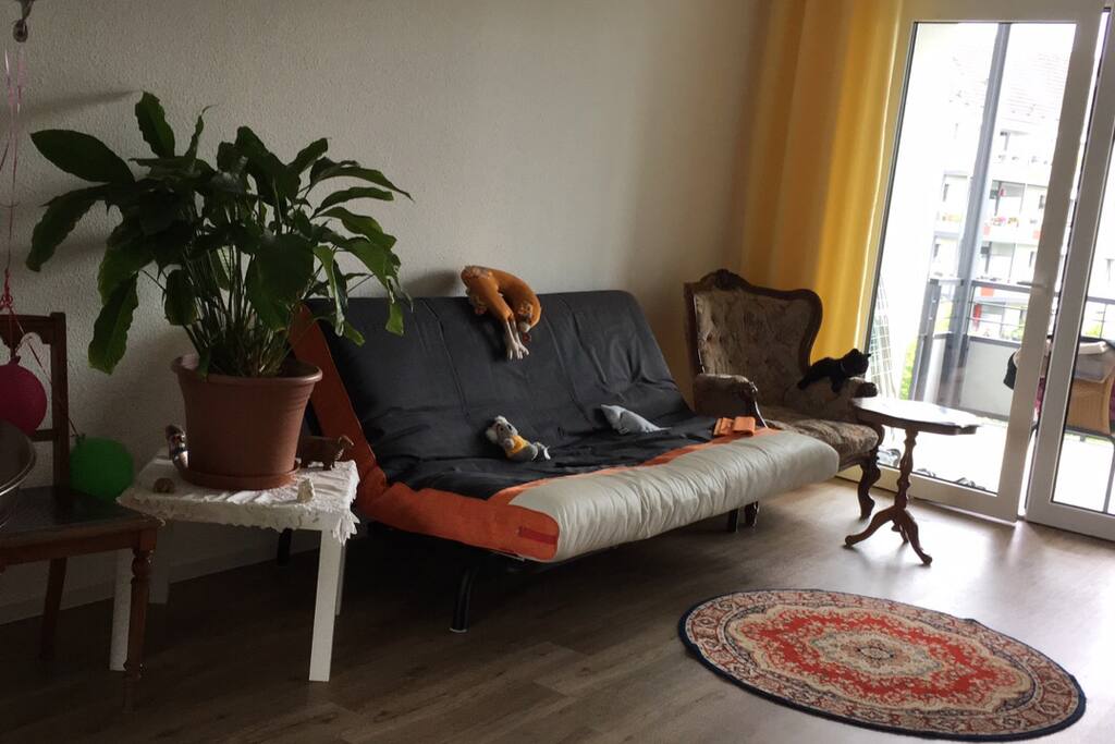 Couch in the living room & balcony