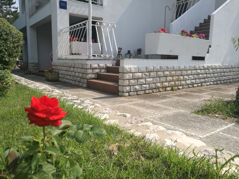 Pathway
