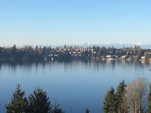 Panoramic View of Washington