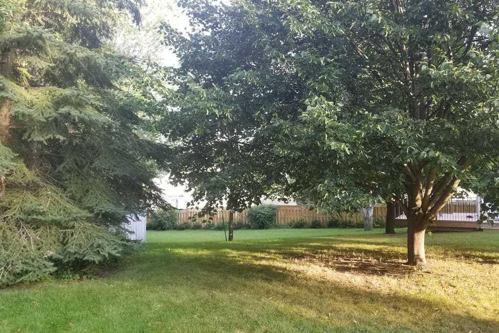 Spacious backyard.