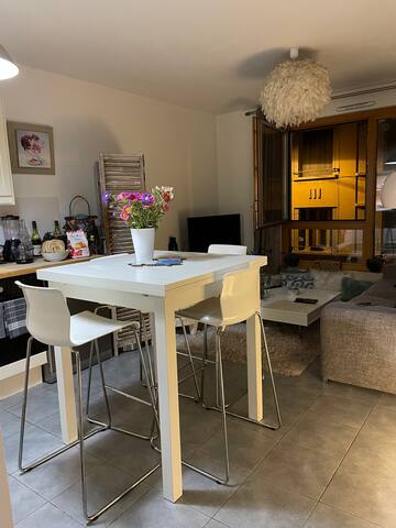 JoliT3 60 m2, quartier Monplaisir, lyon centre gallery image 5
