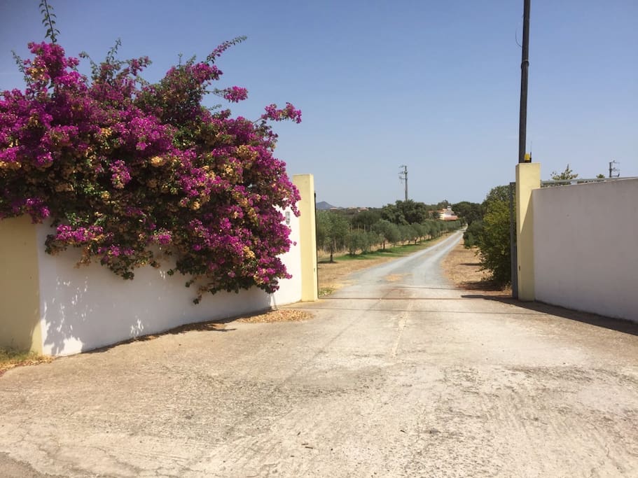 Arrivée dans la Villa