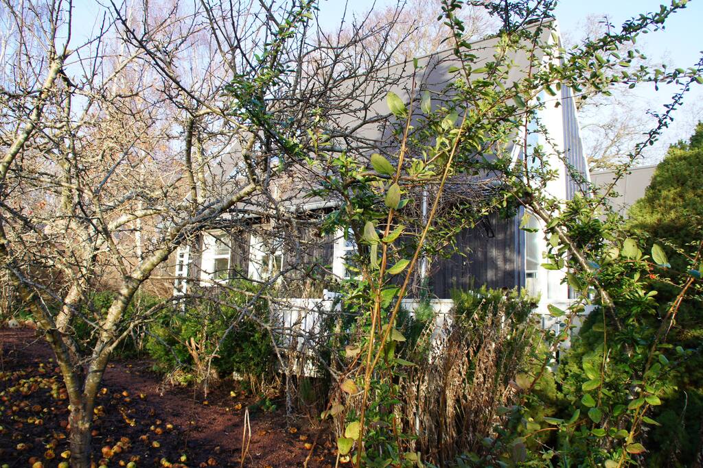 Huset en vinterdag