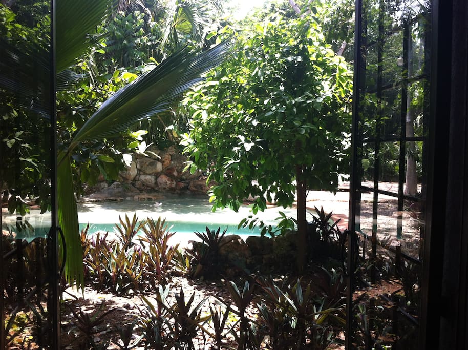 View of pool from inside Villa Ha