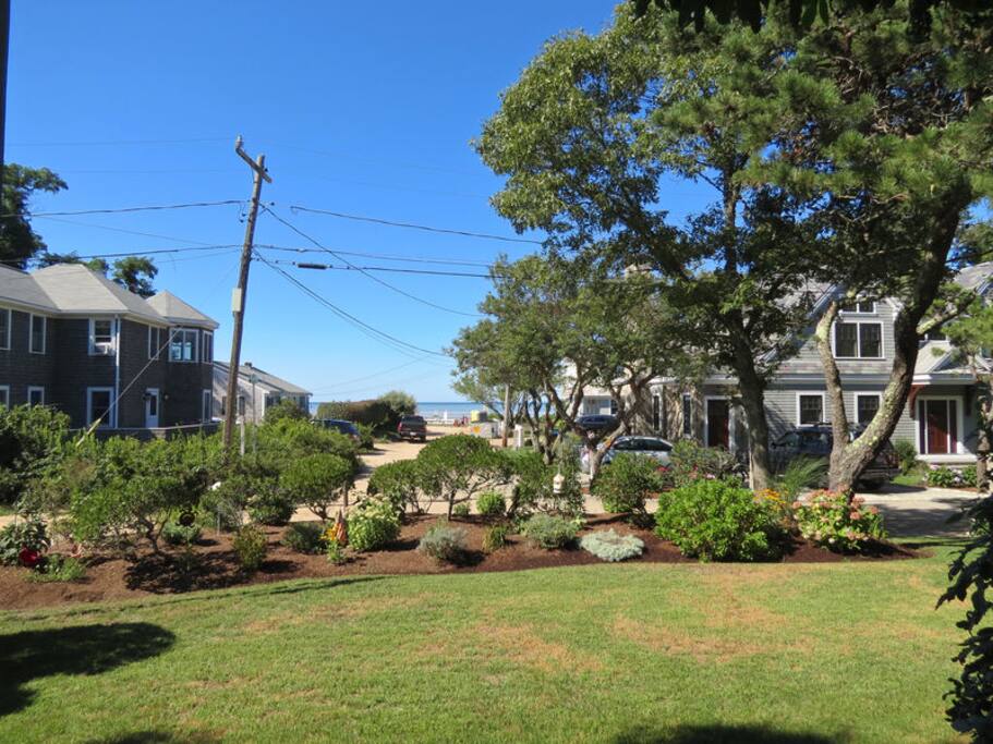 View of the front yard