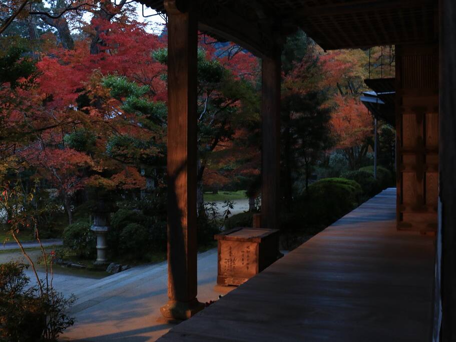 京都 赏枫第二弹 后花园高雄物语 京都旅游攻略 尽在airbnb爱彼迎