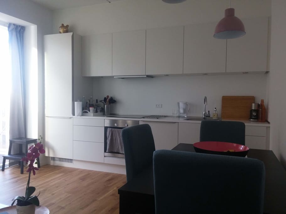 Living room/kitchen leading to balcony
