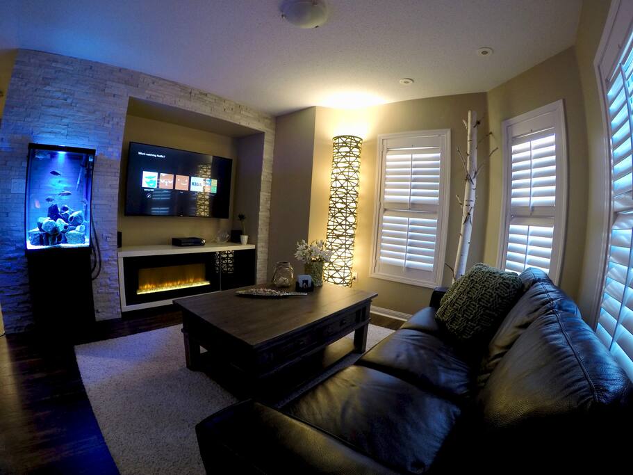 Living room with cable and Netflix