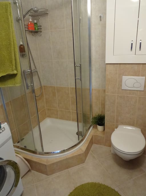 bathroom: shower, hairdryer, towels and washing machine