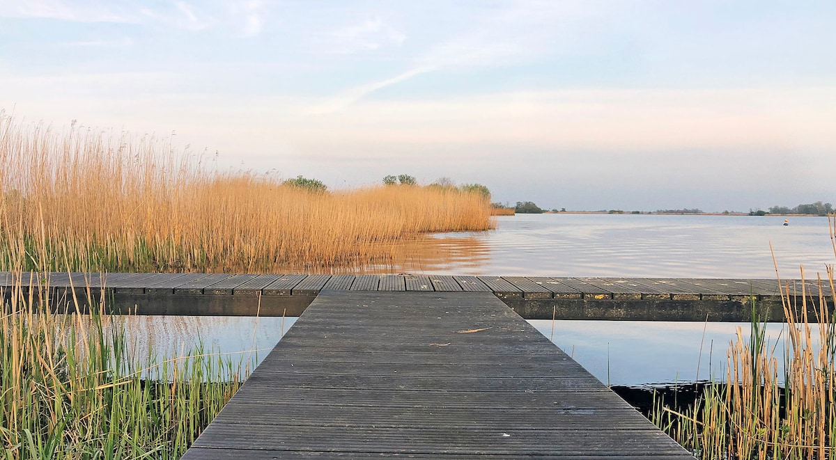 A wooden jetty extends over calm waters, surrounded by tall golden reeds. The still surface reflects the soft hues of the sky, creating a serene ambiance. Lush green grass borders the jetty, enhancing the natural setting of the environment.