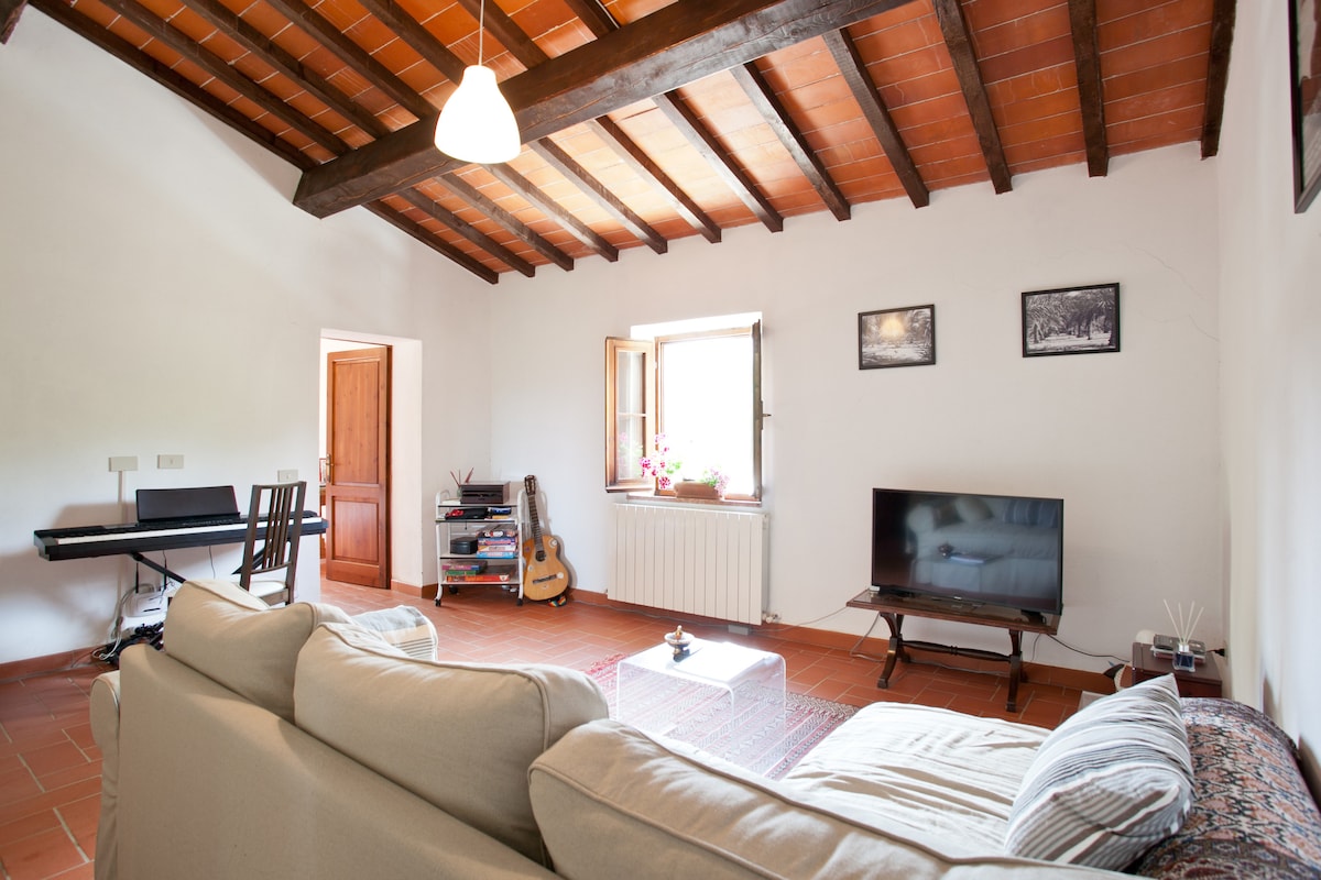 Popular Airbnb listing: Tuscan Villa With Stunning Infinity Pool in Suvereto