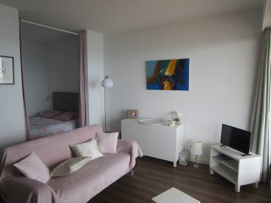Vue plus large du salon