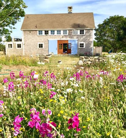 Little Compton’s South Shore Serenity gallery image 2