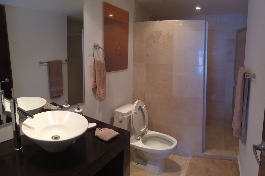 Baño recámara principal. Bathroom in master bed room