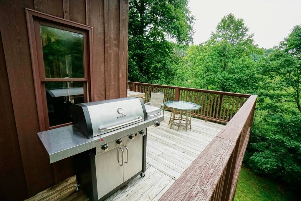 Gas Grill