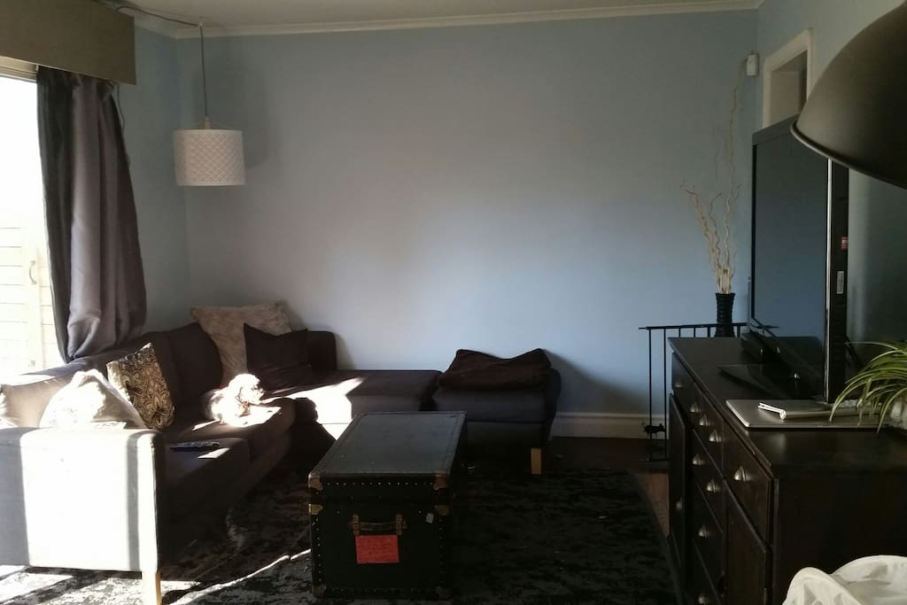 Access to cozy living room with cable TV and internet with dowload capabilites