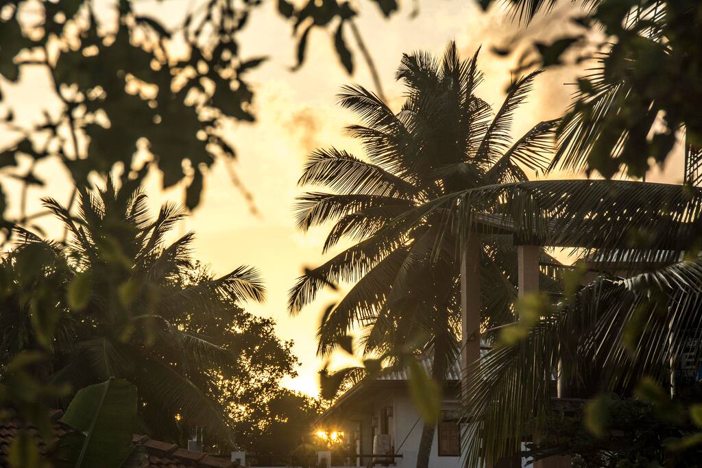 Sunset view from the balcony