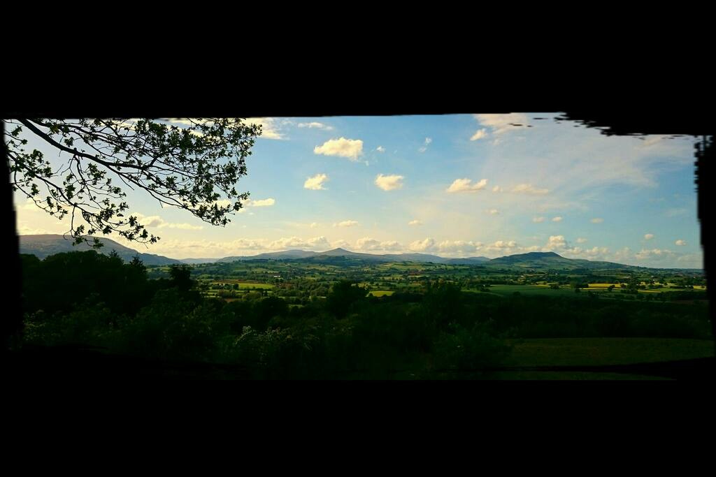 The View...