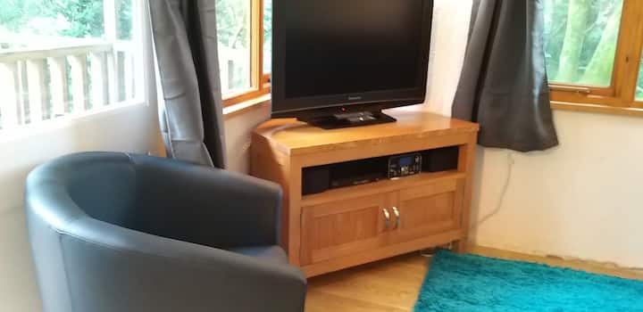 TV, DVD player, stereo