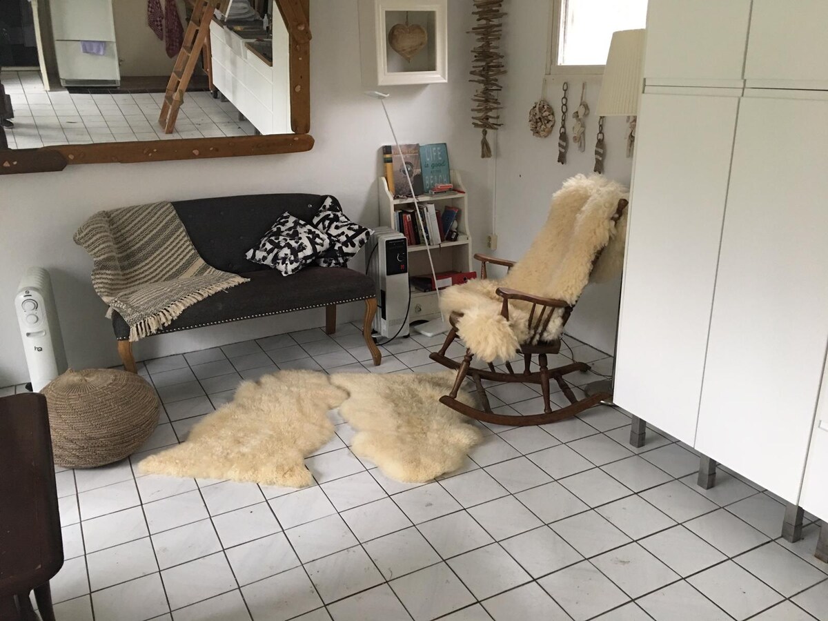 Successful Airbnb property: Marlicious, privacy in the woods, near the Wadden Sea in De Cocksdorp