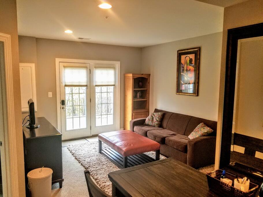 Living area with sofa, ottoman, entertainment center, television, bookcase, French doors and decorations.
