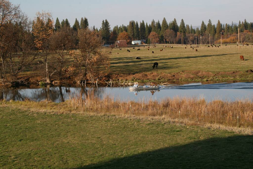 View from deck to River