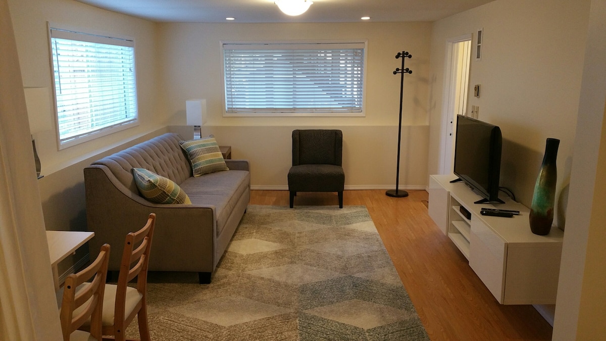 Living room at garden level of home with TV, small work desk and queen size sofa bed.