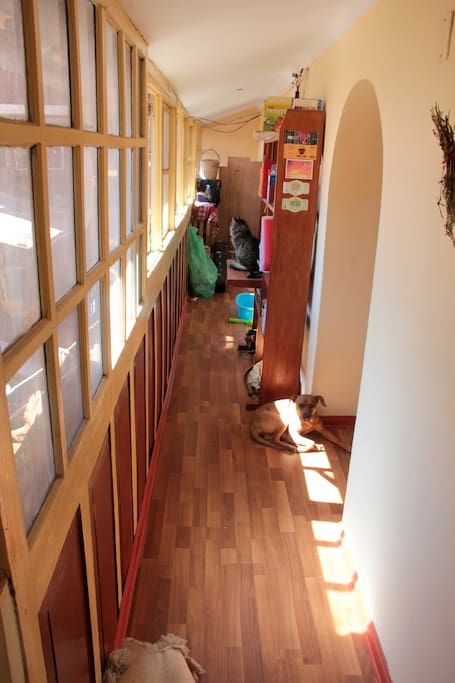 Hallway on the other side of the living room - Featuring Our two Furry Roommates Jupiter and Perla!
