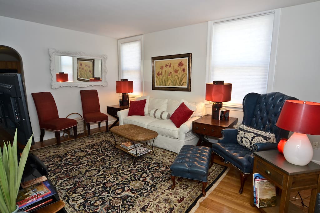 Living room - includes sofa bed