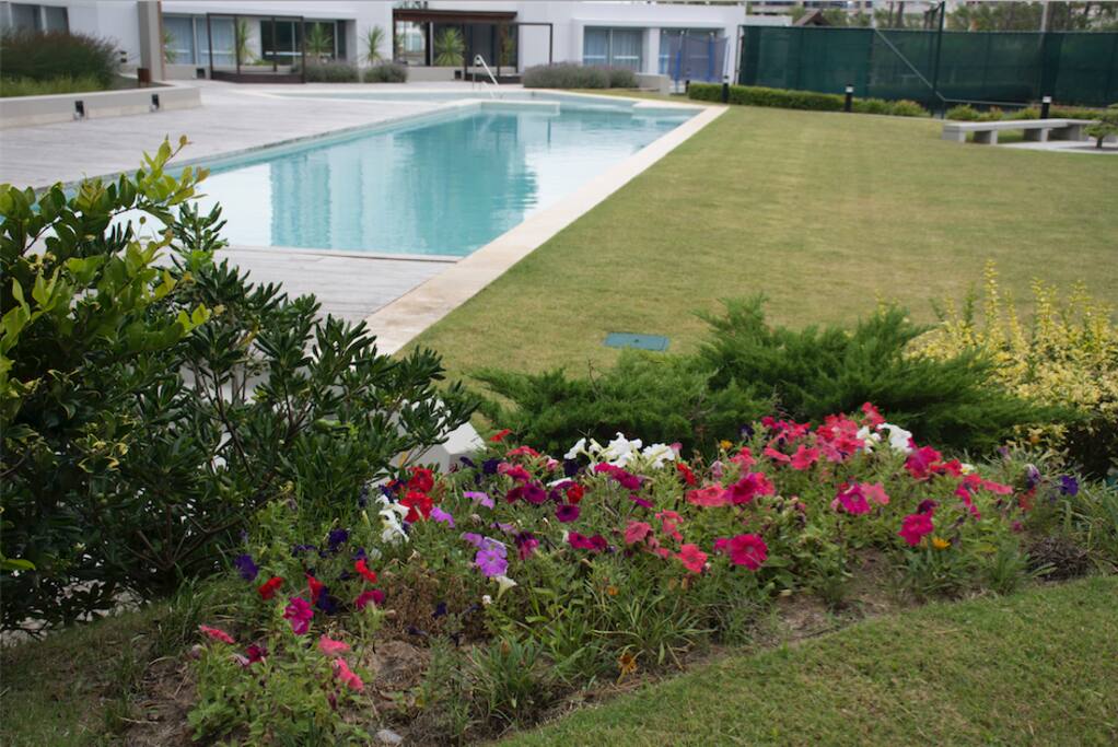 Pileta- Outdoor Pool