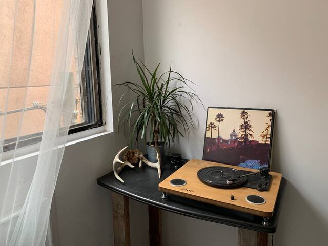 Airbnb Toronto Ferienwohnungen Unterkunfte Ontario Kanada