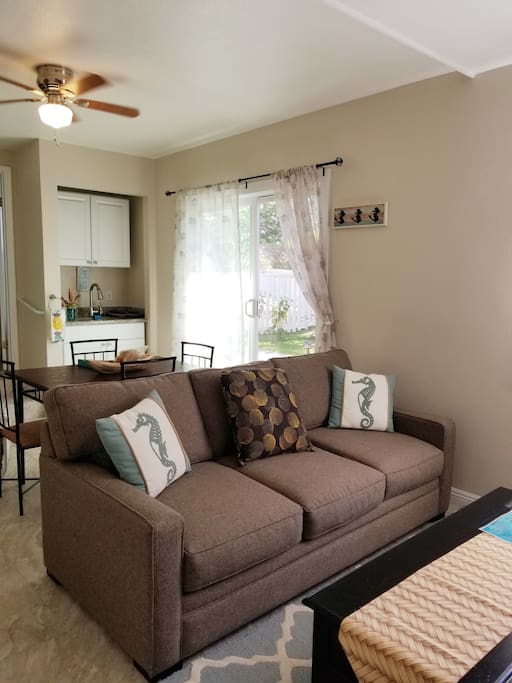 Living room with pull-out queen sofa