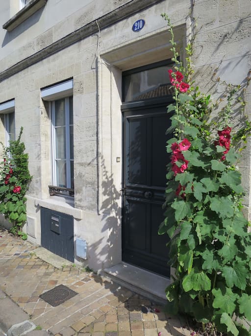 Plantation en façade de l'échoppe coté rue Pelleport