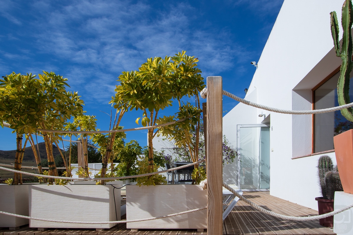 A private terrace is highlighted, featuring planters with vibrant green plants. Wooden decking complements the white walls and allows for natural light to enhance the space. The blue sky above creates a bright and inviting atmosphere.